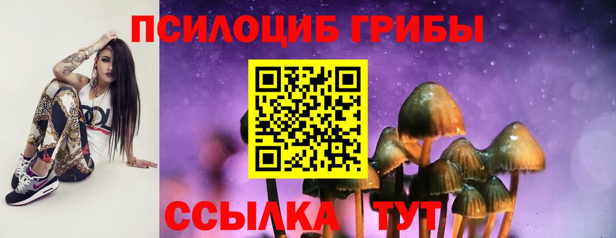 Псилоцибиновые грибы ЛСД Лысьва