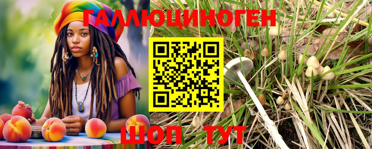Псилоцибиновые грибы Psilocybine cubensis  Вход с VPN  Псилоцибиновые грибы мухоморы  Лысьва 